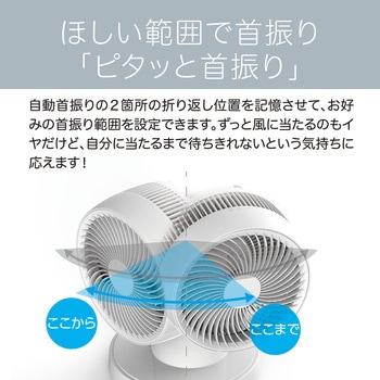 サーキュレーター コイズミ