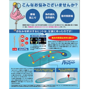 姿勢矯正改善インソール バランスメイト - ノダキ
