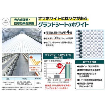 ダイオグランドシートαホワイト イノベックス(ダイオ化成)