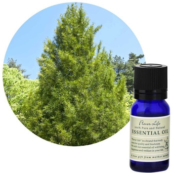 フレーバーライフ 精油 こうやまき 10mL フレーバーライフ