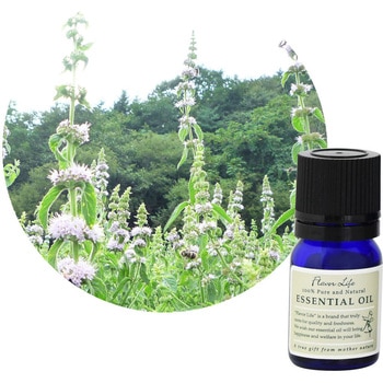 フレーバーライフ 精油 薄荷 3mL フレーバーライフ