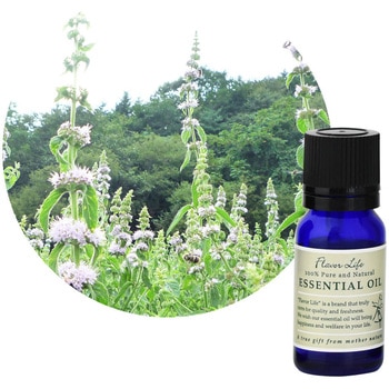フレーバーライフ 精油 薄荷 10mL フレーバーライフ