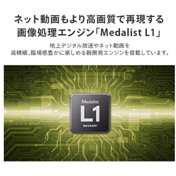 アクオス(AQUOS) 43V型 ハイビジョン液晶テレビ Google TV 外付けHDD対応 シャープ