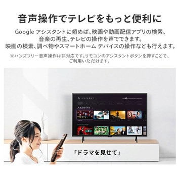 アクオス(AQUOS) 43V型 ハイビジョン液晶テレビ Google TV 外付けHDD対応 シャープ