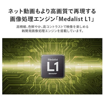 アクオス(AQUOS) 液晶テレビ 外付けHDD対応 4Kダブルチューナー シャープ