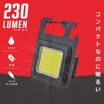コンパクトUSB充電式LEDライト 3段調光・防雨型・カラビナ付き オーム電機