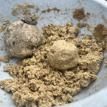 ジャンタニ 福農産業