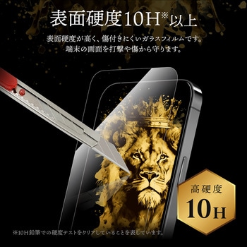 iPhone 15 Pro ガラスフィルム 「GOD GLASS 覇獅神」 練磨 ブルーライトカット GOD GLASS