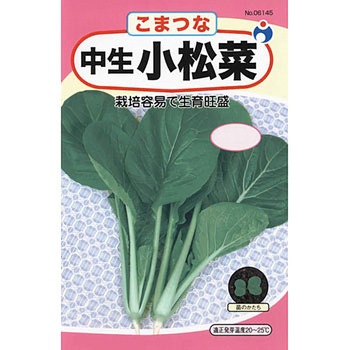 【タネ】中生小松菜 ウタネ