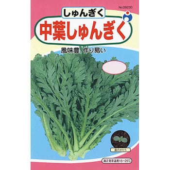 タネ 中葉しゅんぎく ウタネ 野菜の種 秋まき 通販モノタロウ