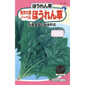 タネ 西洋大葉ノーベル ほうれん草 ウタネ 野菜の種 秋まき 通販モノタロウ