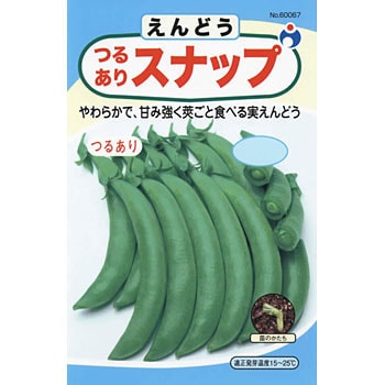 つるありスナップえんどう ウタネ 野菜の種 秋まき 通販モノタロウ