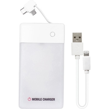 乾電池式充電器 micro&TYPE-Cケーブル付き エアージェイ