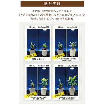 EVERSUN365 植物育成ライト ゼンスイ 水耕栽培・植物育成ライト