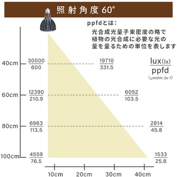 EVERSUN365 植物育成ライト - ゼンスイ