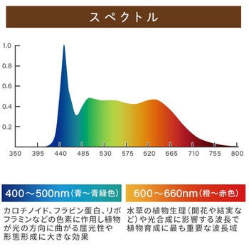EVERSUN365 植物育成ライト - ゼンスイ