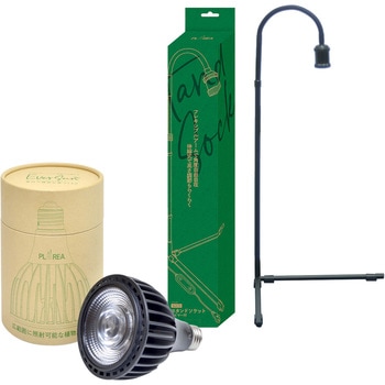 - EVERSUN365 A琬Cg [XC 19275658