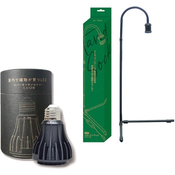 - EVERSUN365 A琬Cg [XC 19275685