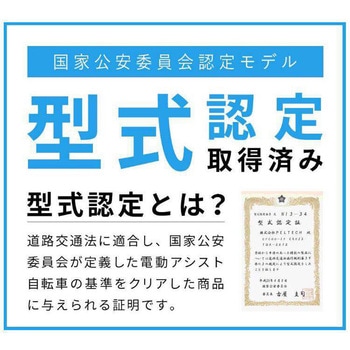 防災サイクル 12Ahバッテリー仕様 20型 内装3段変速付き 電動アシスト自転車 低床アルミフレーム ノンパンク仕様 【完成組立品】 PELTECH(ペルテック)