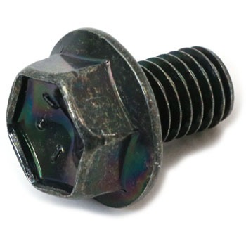 01550-0812B (01550){g XYL 19335173