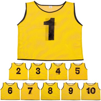 4502 �`�[���x�X�g �A�[�e�b�N[�w�Z���ށE����ߋ�] ���F ��T�C�Y ���@560�~520mm 1�Z�b�g(10��) 19403755