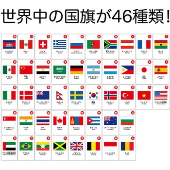 国旗かるた アーテック(学校教材・教育玩具)