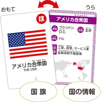 国旗かるた アーテック(学校教材・教育玩具)
