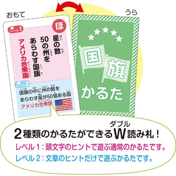 国旗かるた アーテック(学校教材・教育玩具)