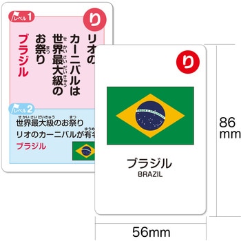 国旗かるた アーテック(学校教材・教育玩具)
