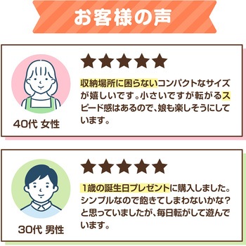 木製コロコロスラローム アーテック(学校教材・教育玩具)