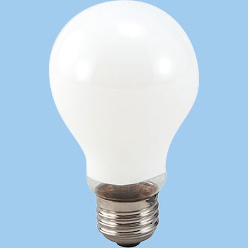 47302 CeBOx[Xpd A[ebN[wZށEߋ] 19413363