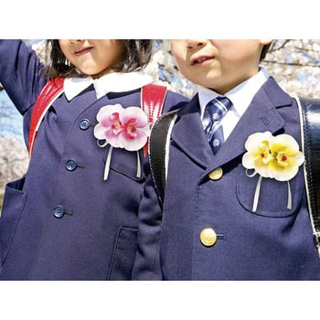 コサージュ 胡蝶蘭 アーテック[学校教材・教育玩具]