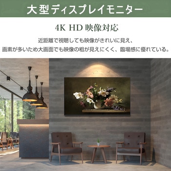 50インチ 4Kモニター WIS