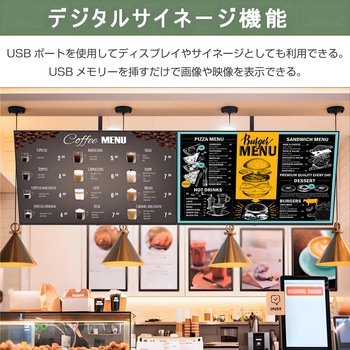 50インチ 4Kモニター WIS