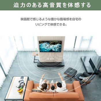 50インチ 4Kモニター WIS