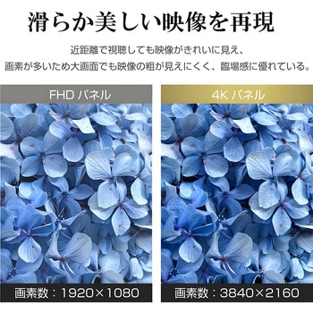 65インチ 4Kモニター WIS