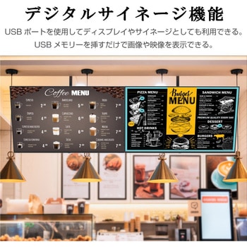 65インチ 4Kモニター WIS
