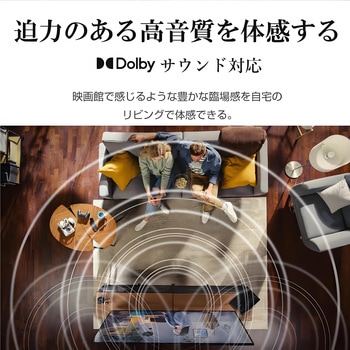 65インチ 4Kモニター WIS
