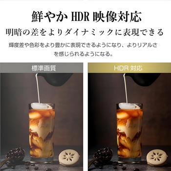 65インチ 4Kモニター WIS
