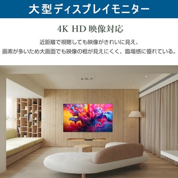75インチ 4Kモニター WIS