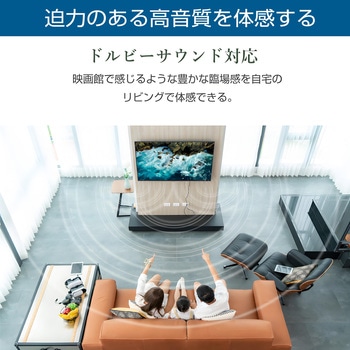 75インチ 4Kモニター WIS