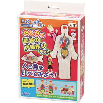 92733 ねんどで動物の内臓作りキット 1セット(12個) アーテック[学校