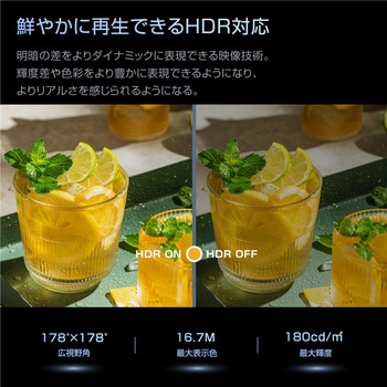 24インチgoogloチューナーレスTV WIS