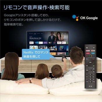24インチgoogloチューナーレスTV WIS