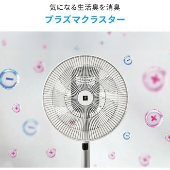 扇風機 DCモーター プラズマクラスター搭載 左右首振り シャープ