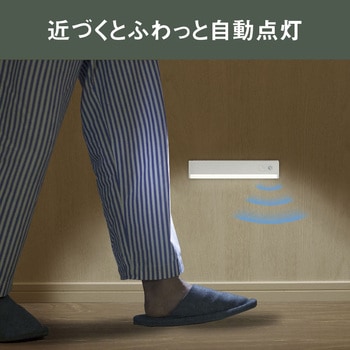 充電式うすうす熱センサーライト ムサシ