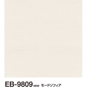 EB9809 壁紙 EBクロス(織物調) 1巻 サンゲツ 【通販モノタロウ】