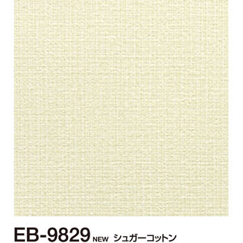 EB9829 ǎ EBNX(D) TQc 19510837