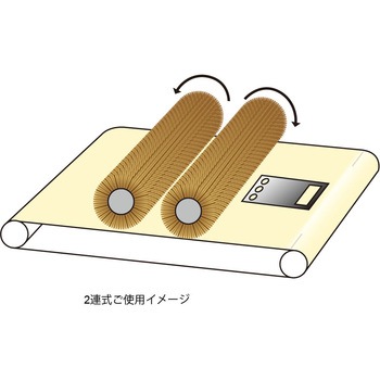 スリットクラゲ 標準品 ヤナセ(柳瀬)
