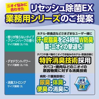 リセッシュ 消臭ストロング 業務用 花王